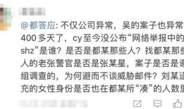 扒叔大爆料冯小刚视频播放,扒叔大爆料背后的真相揭秘